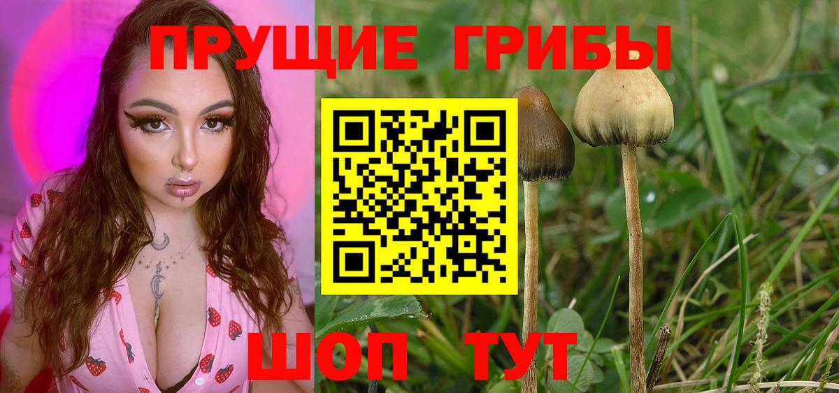 Псилоцибиновые грибы ЛСД  Вход с VPN  Рыбинск 